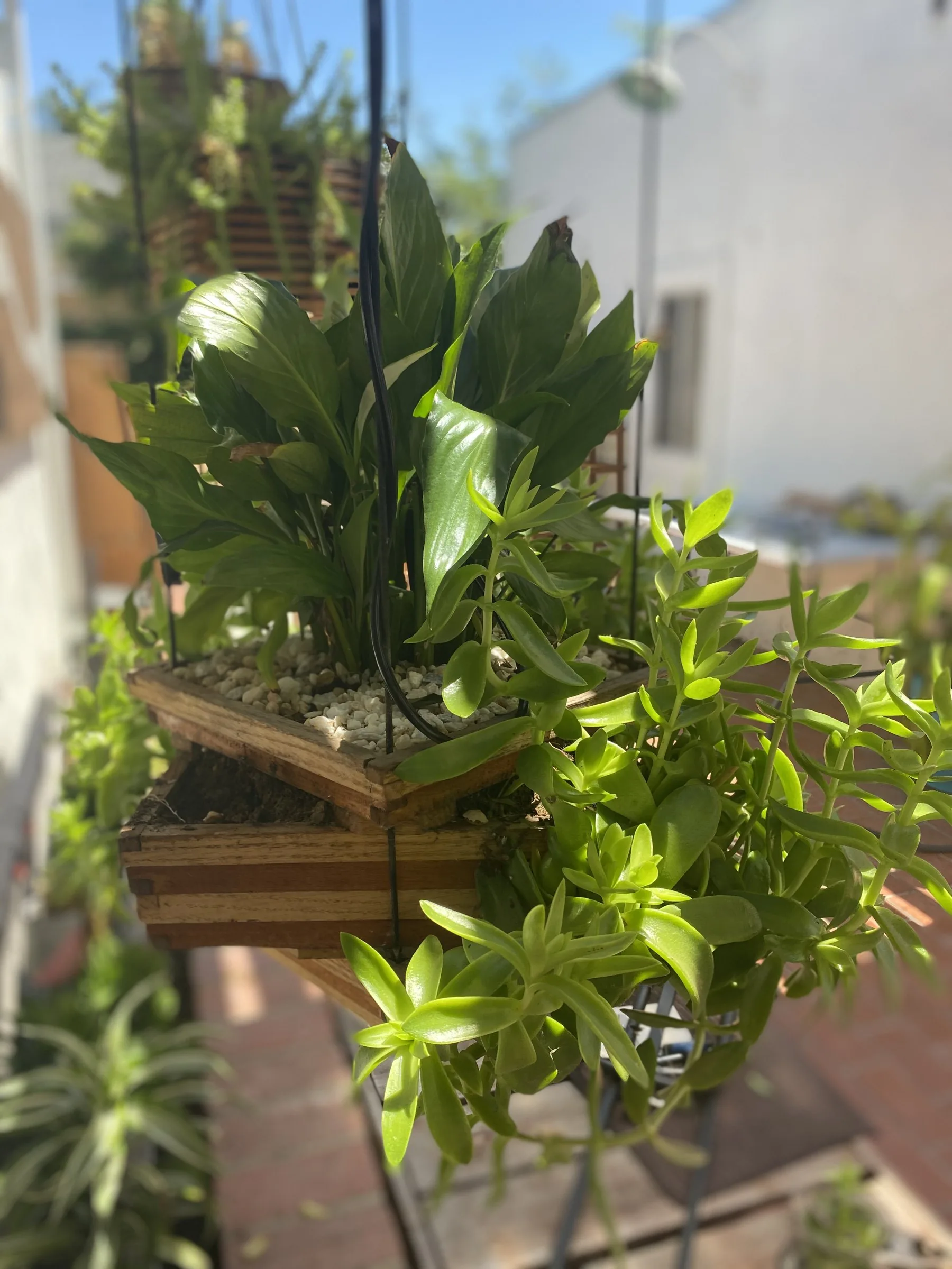 Slatted planters